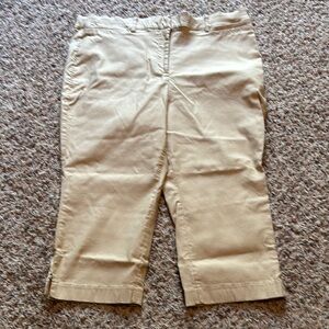 Lane Bryant Beige Trousers
